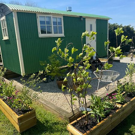 Toms Hut And Robins Rest Shepherd Huts Near Wadebridge Eksteriør billede