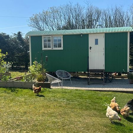 Toms Hut And Robins Rest Shepherd Huts Near Wadebridge Eksteriør billede