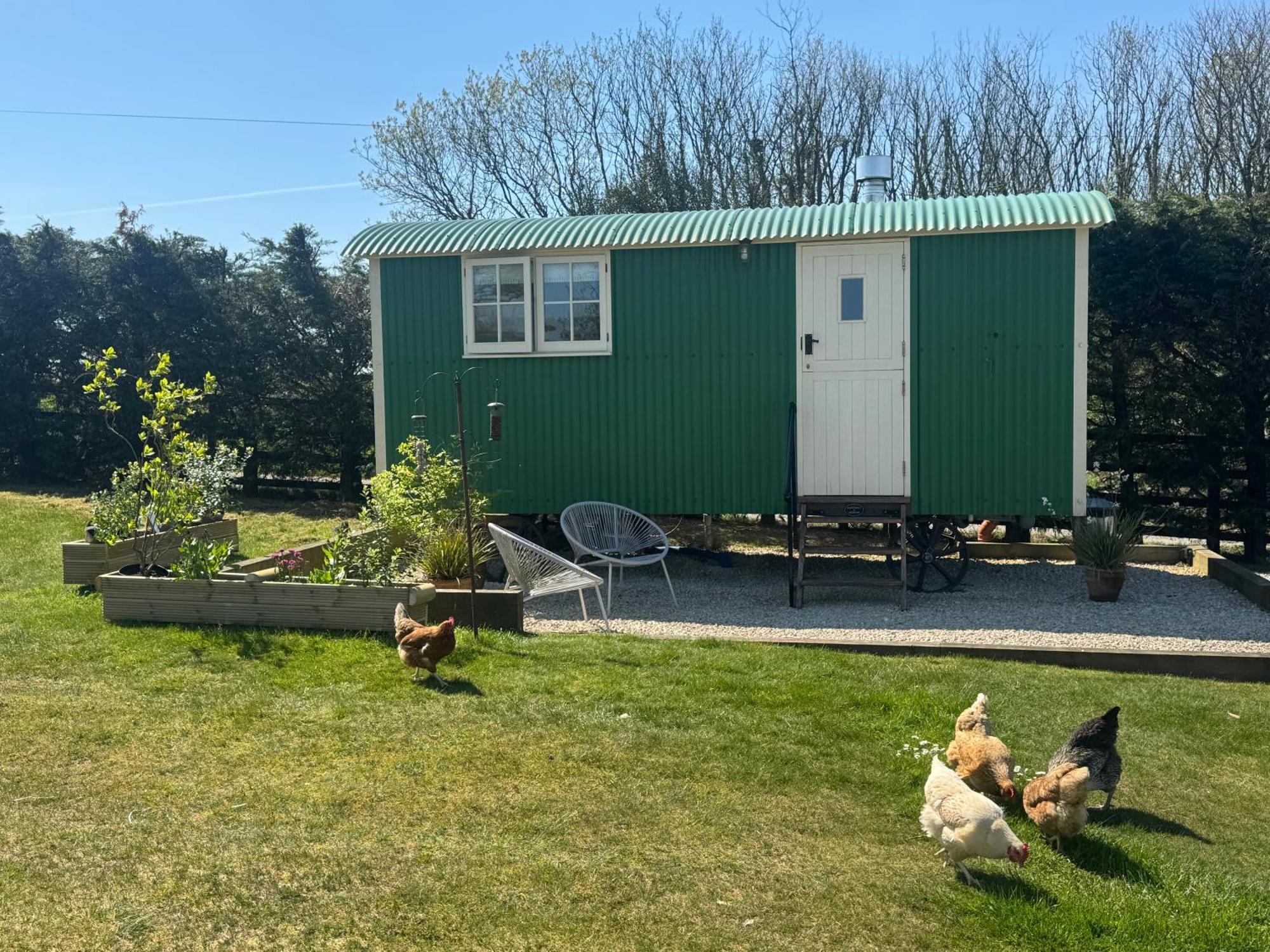 Toms Hut And Robins Rest Shepherd Huts Near Wadebridge Eksteriør billede